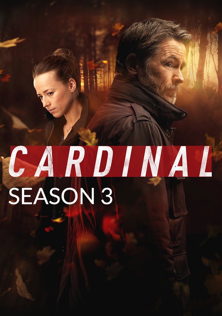 Cardinal3