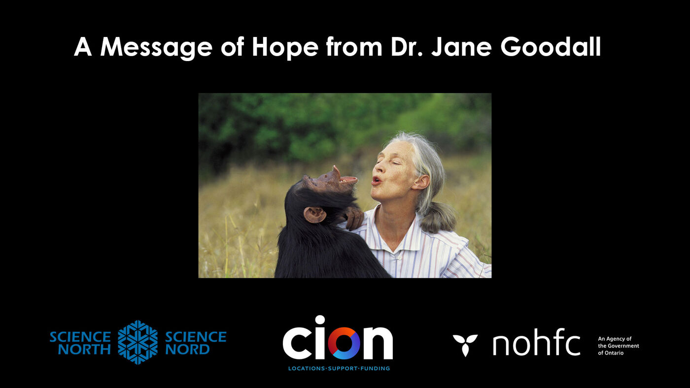 A Message Of Hope From Dr Jane Goodall Cion