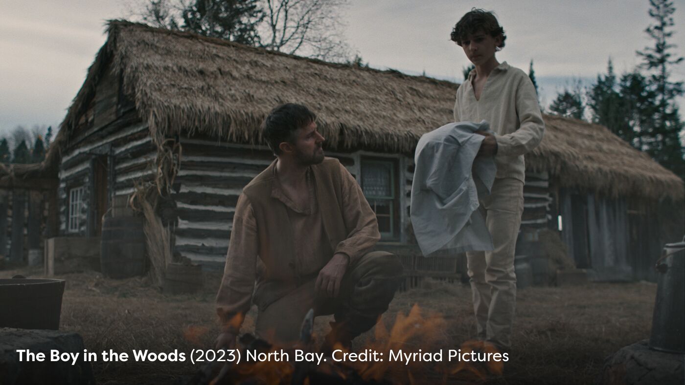 The Boy in the Woods