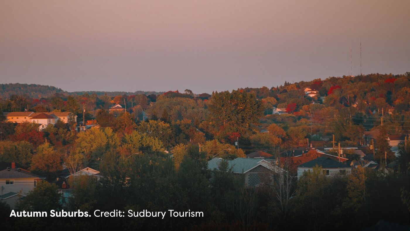 Sudbury Autumn Suburbs