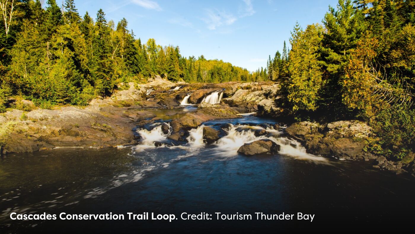 Cascade Conservation