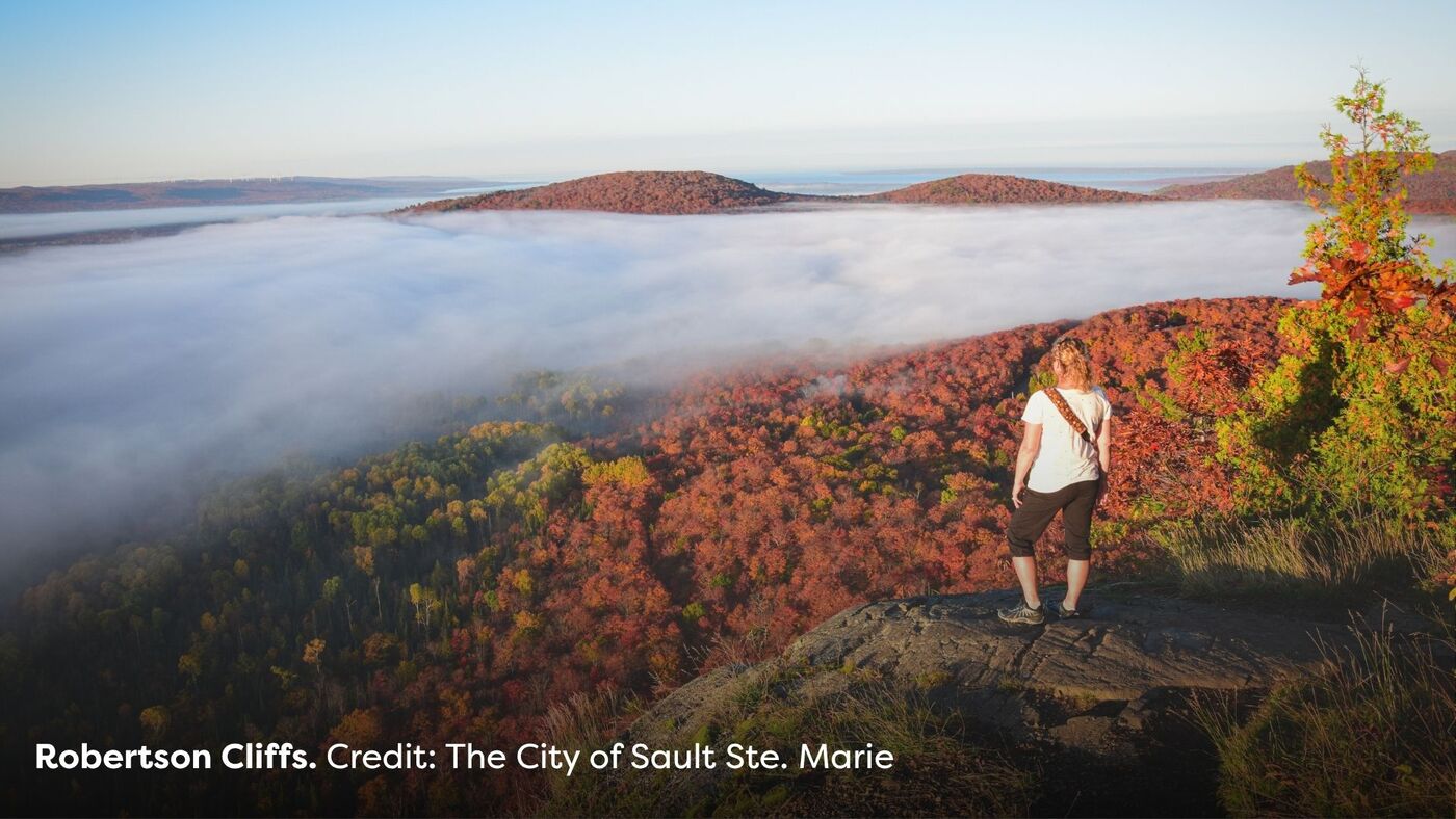 SSM Fall