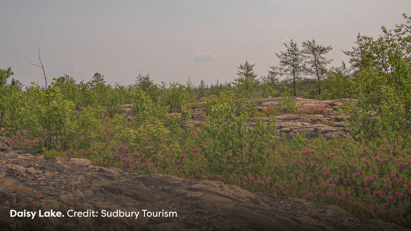 Sudbury Rocks
