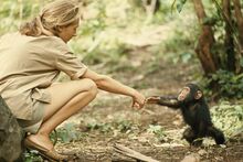 Jane Goodall and Science North Next IMAX Film