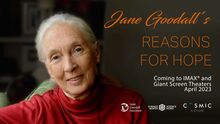 Jane Goodall's Reasons for Hope