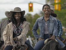 Beyond Black Beauty
